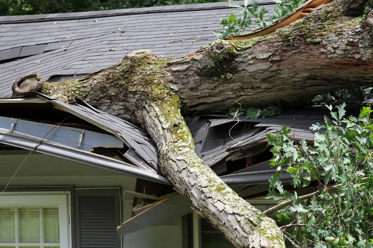Storm damage restoration service in Round Lake for fallen tree roof damage and emergency home repair