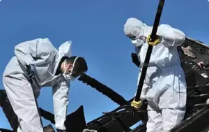 Biohazard Services