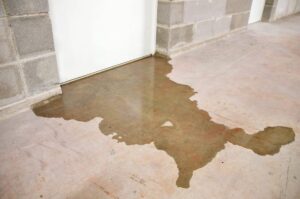 Basement water damage restoration service in Round Lake for leak cleanup and moisture removal
