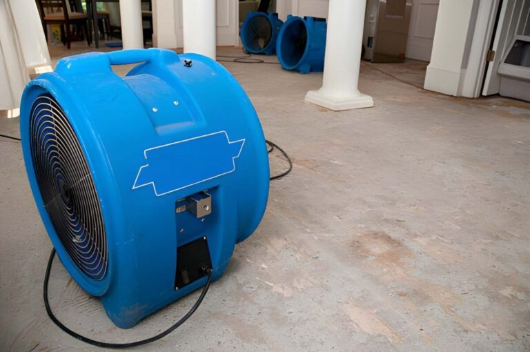 Water Damage Restoration Process: What Happens from Cleanup to Repairs