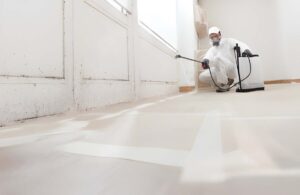 mold remediation