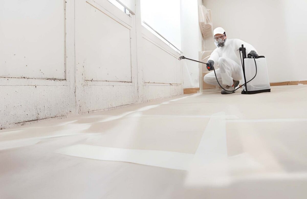 mold remediation